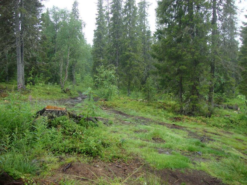 1.08.2015 берег озера Верх. Хлебное, конечная точка заброски.