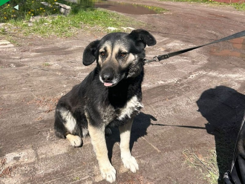 Госветобъединение Казани