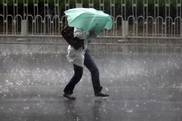    Фото: ГУ МЧС России по Ростовской области Веселовские вести