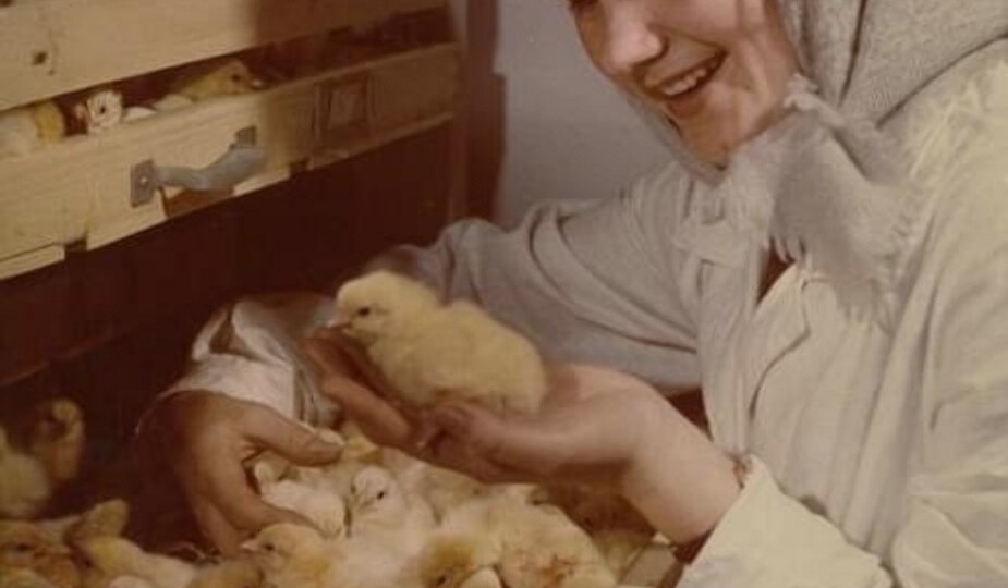 А жена у него бабочка...