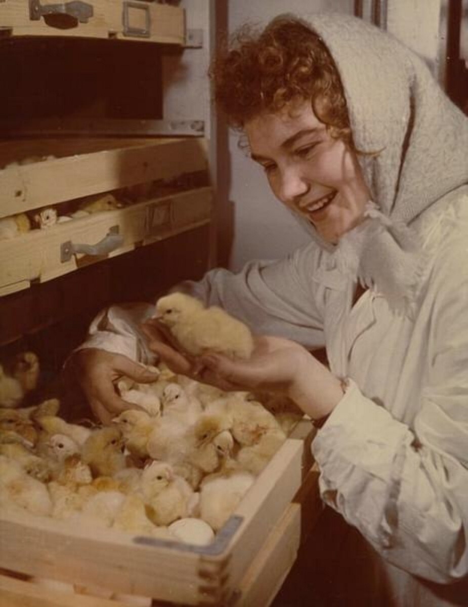 Фотограф Роберт Диамент