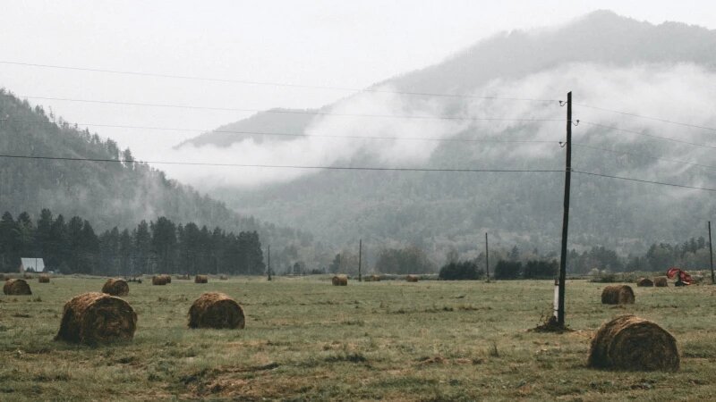     Горный Алтай. CC0