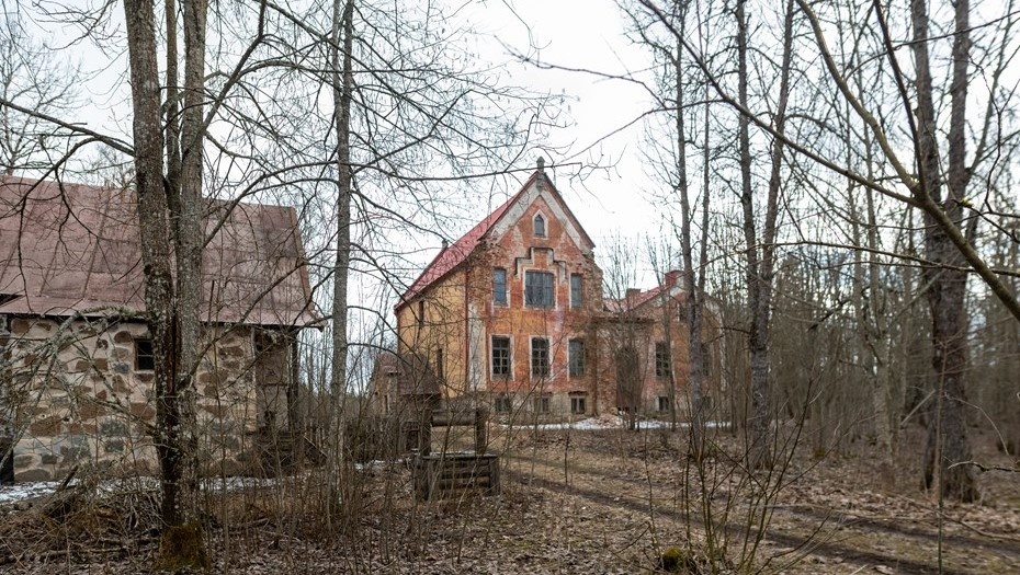    Автор фото: Тихонов Михаил/ДП