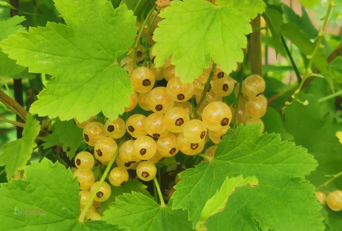 Фото из личного архива автора. 