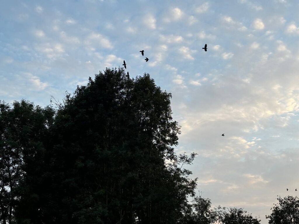    Фото: smolnarod.ru