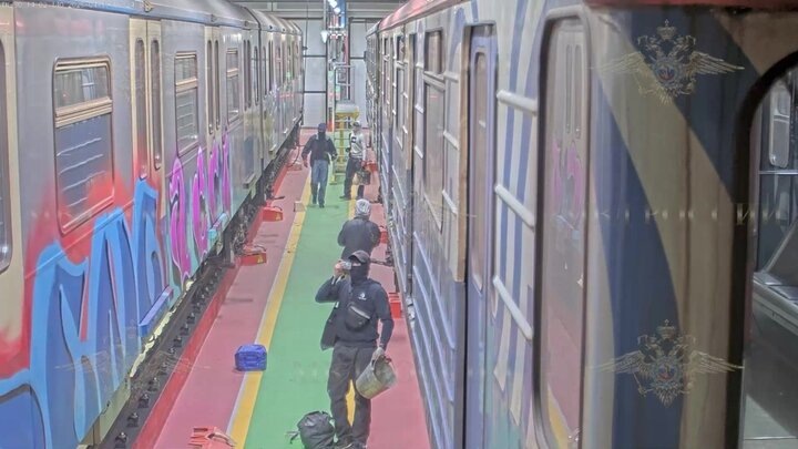    Видео: телеграм-канал "Ирина Волк"