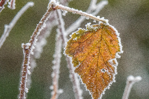    Фото: freepik. com / wirestock