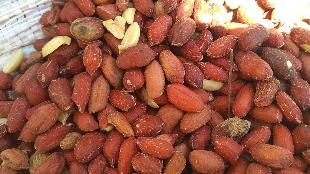    Фото: 178.fsvps.gov.ru