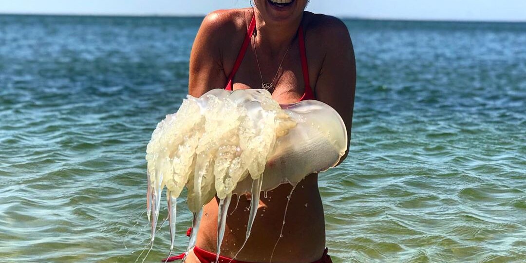 Россия: 3 главные причины почему в 2025 году в Азовском море большое количество медуз