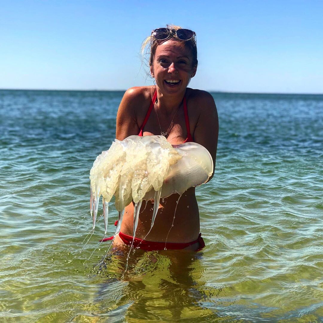 Россия: главные причины почему в Азовском море большое количество медуз. Фото из Яндекс картинки