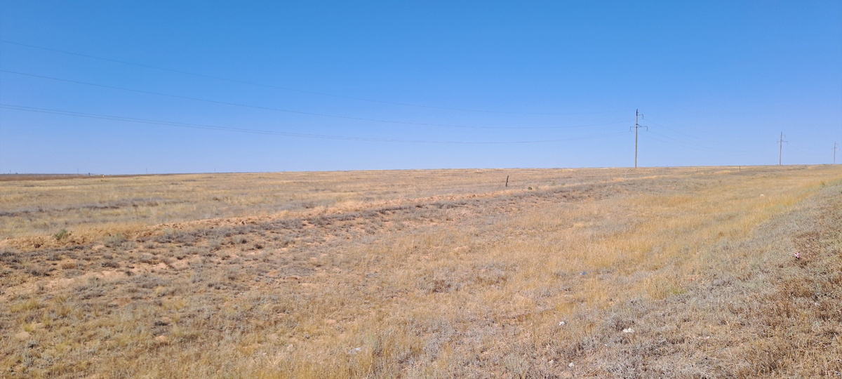 Калмыцкая степь