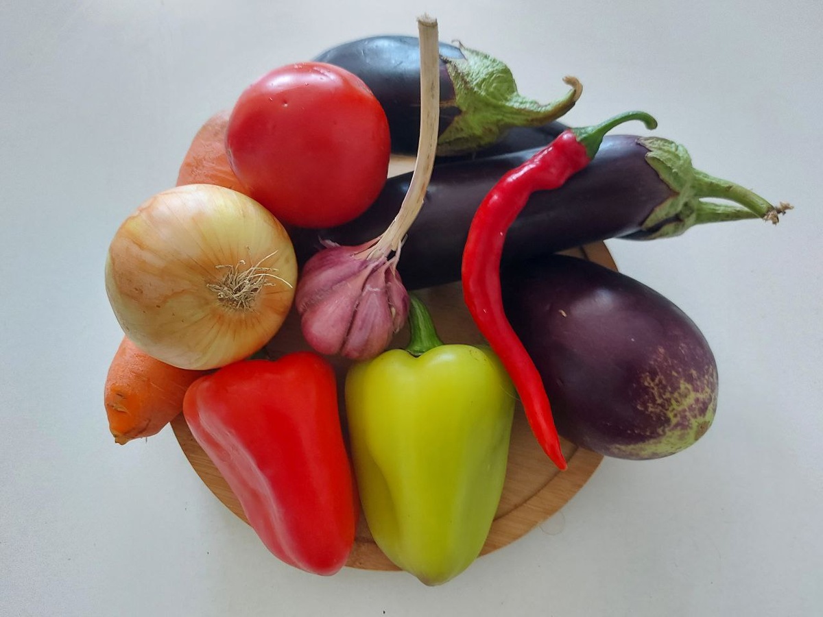 Фото Софии Бибиковой, «Кубань 24»