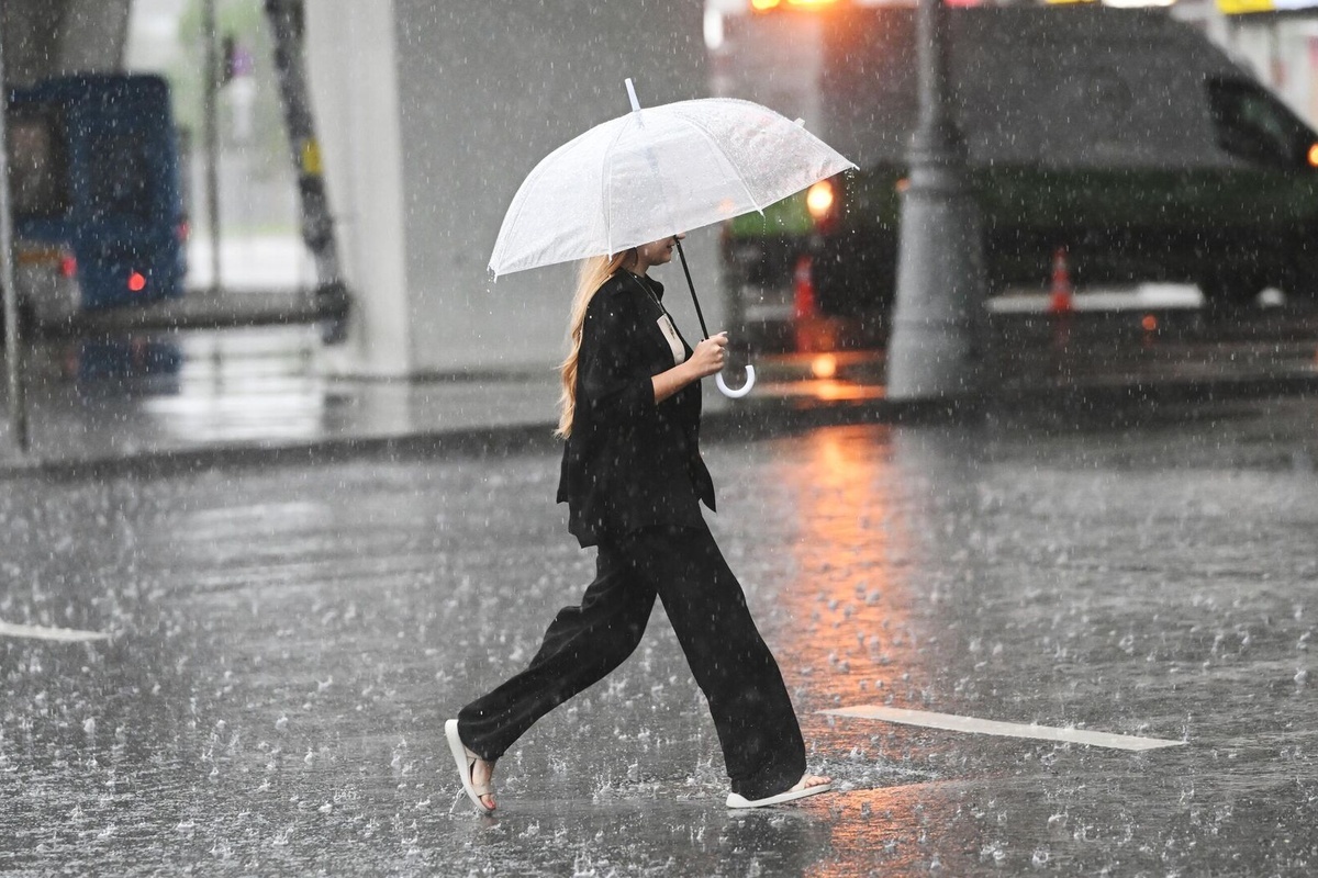    Фото: Кирилл Каллиников, источник: ria.ru