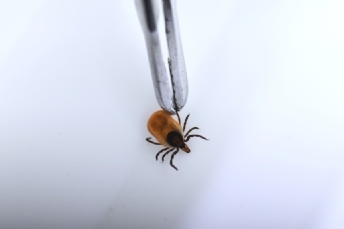    Фото: Павел Лисицын, источник: ria.ru