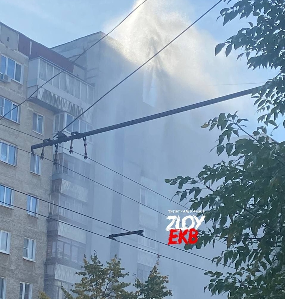 Фото: ТГ-канал «Злой Екатеринбург»  📷
