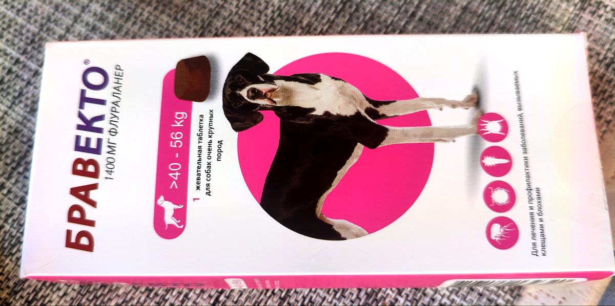 Теперь осталось как-то уговорить Босю чтобы он её съел 😊