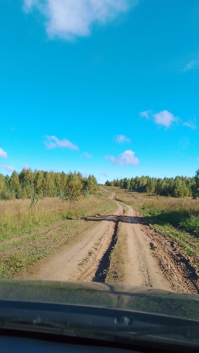 Дорога в деревню