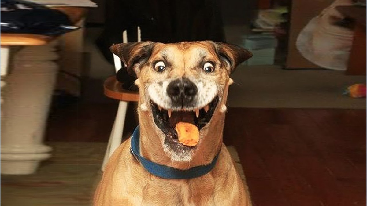 Устойчивый маркетинг и социальная ответственность: что это и зачем бизнесу