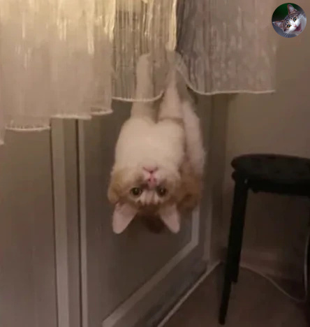 А что? Я рос среди летучих мышек..