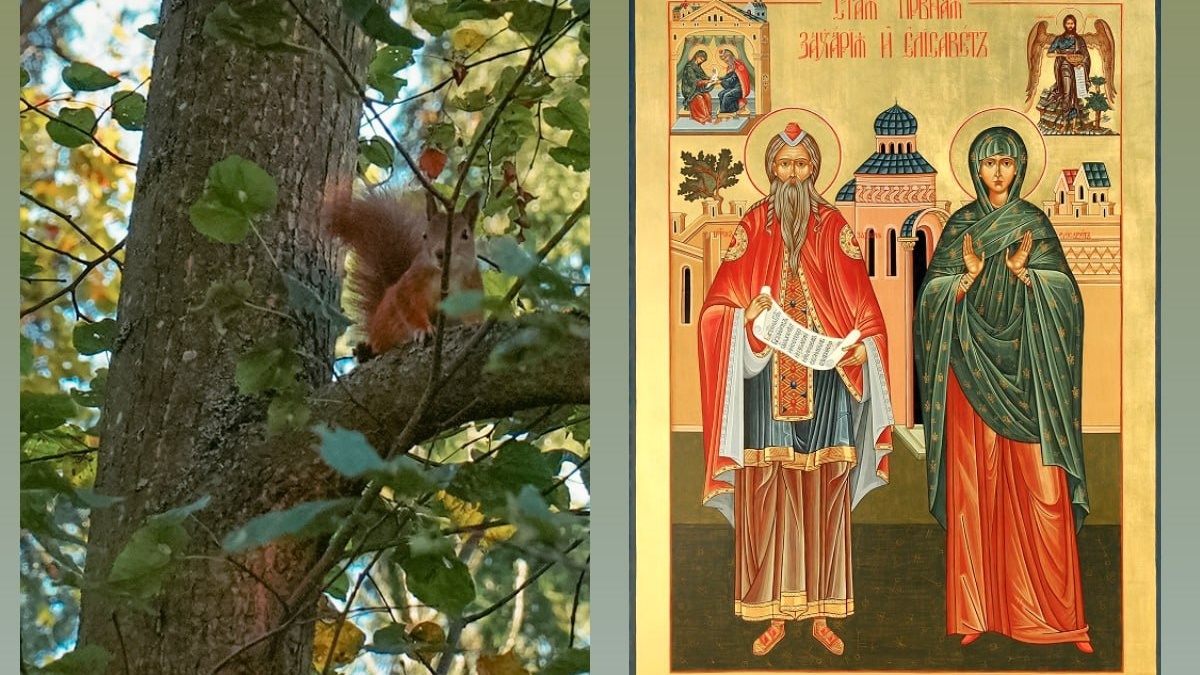 Икона Прор. Захария и Прав. Елисавета, родители Иоанна Крестителя, Коллаж ИА SM-News📷
