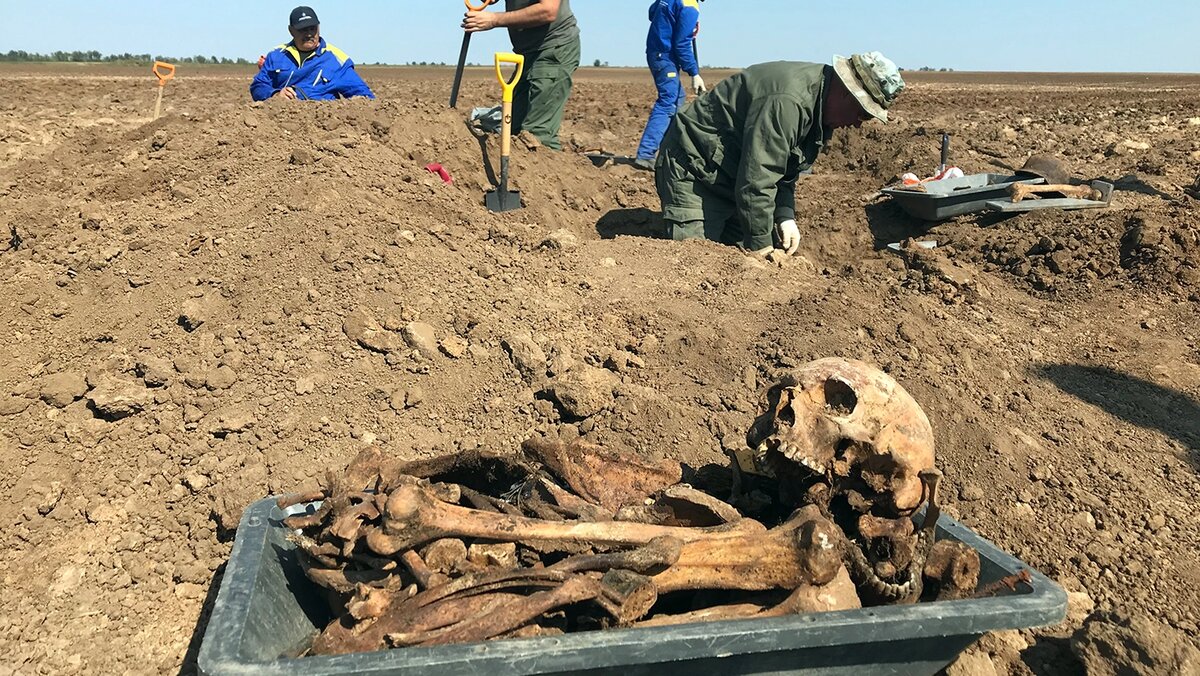   Ulf Mauder / DPA / Picture Alliance / TASS