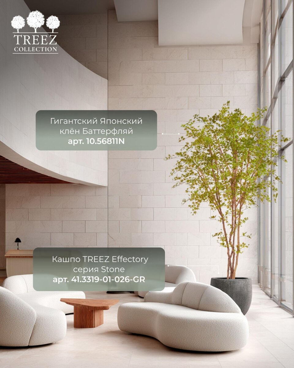 Кашпо и растения TREEZ Collection