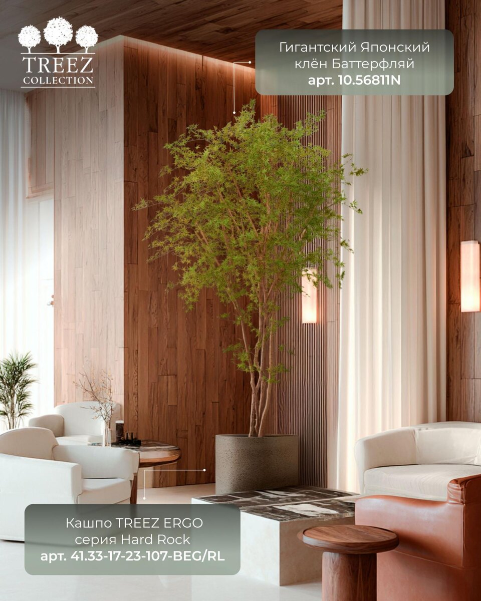 Кашпо и растения TREEZ Collection