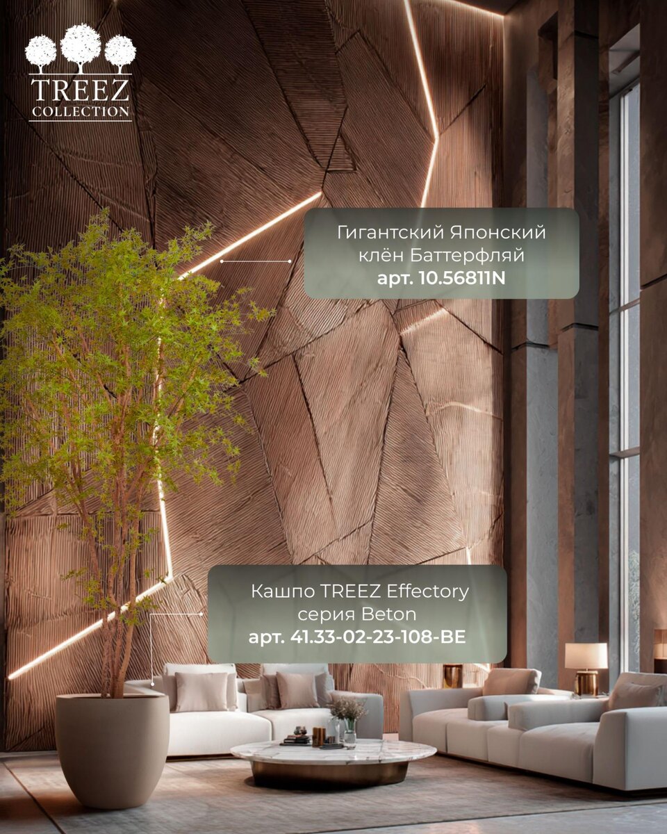 Кашпо и растения TREEZ Collection