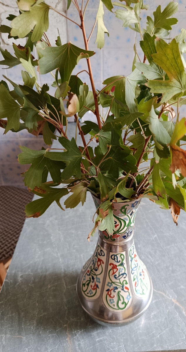 Сентябрьские веточки реписа.