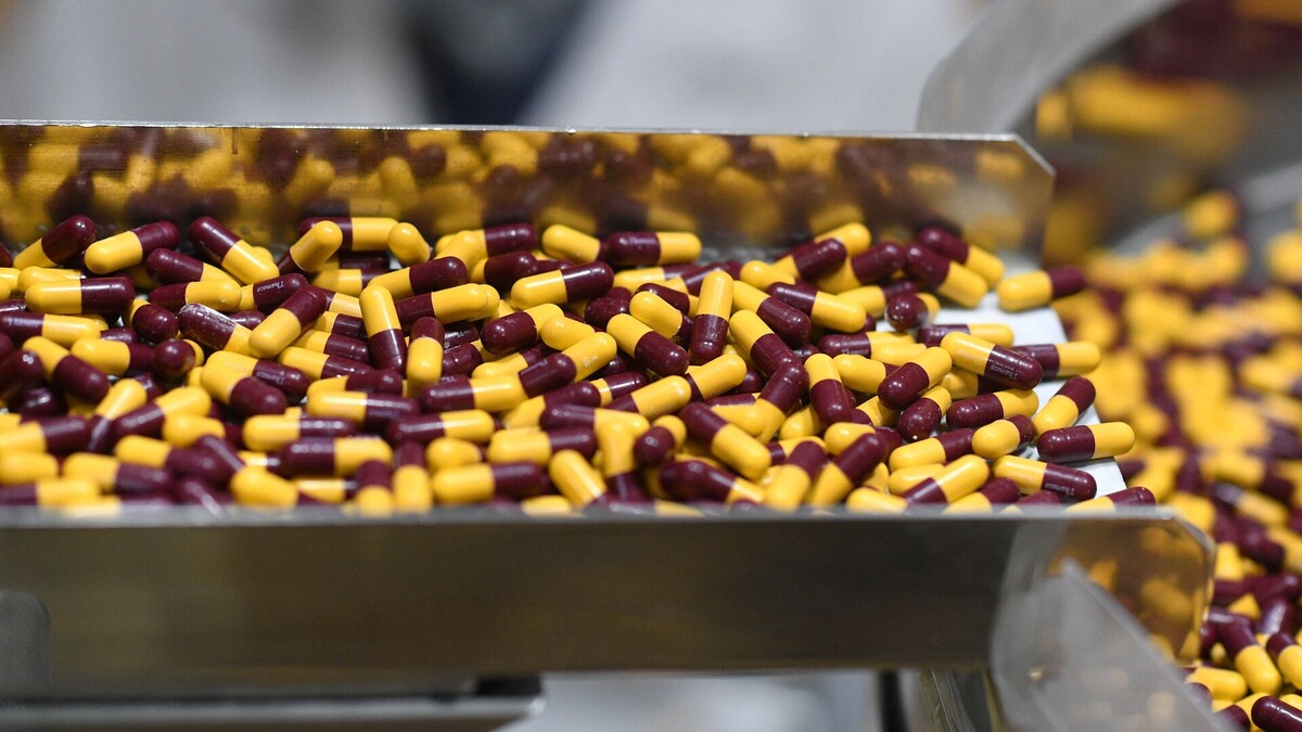 © Sputnik / Михаил Воскресенский
