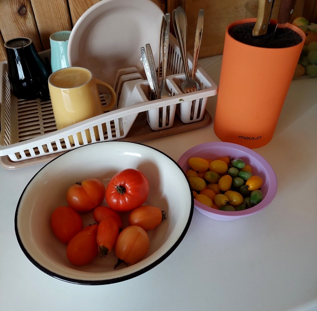 Фото автора.