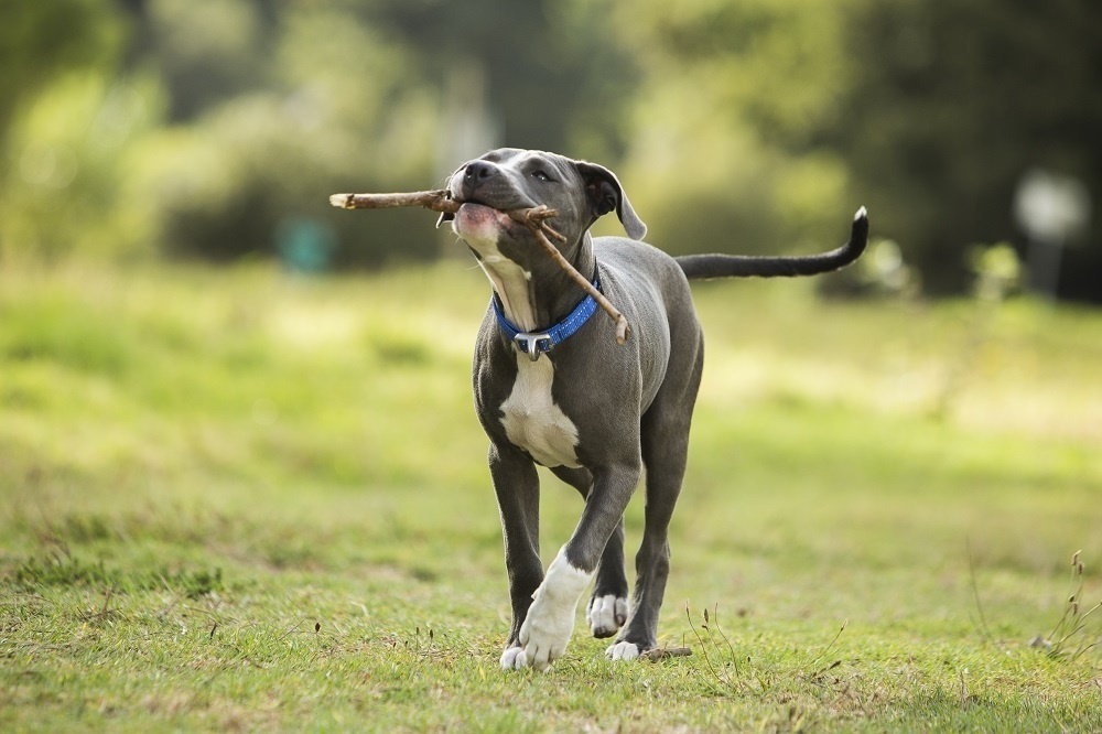 Устойчивый маркетинг и социальная ответственность бизнеса: гайд 2025 года