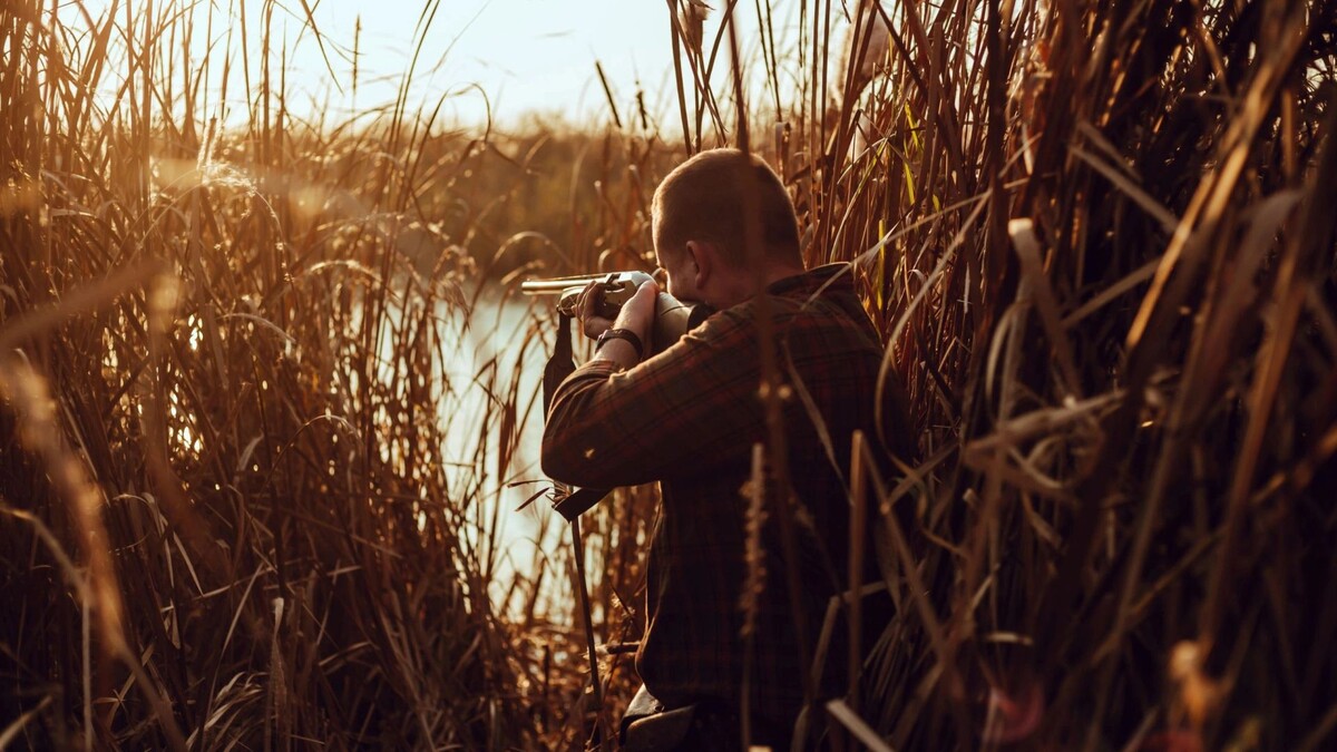    Фото: Little honey/Shutterstock/Fotodom