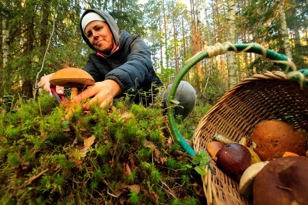    Фото © Валерий Матыцин / ТАСС