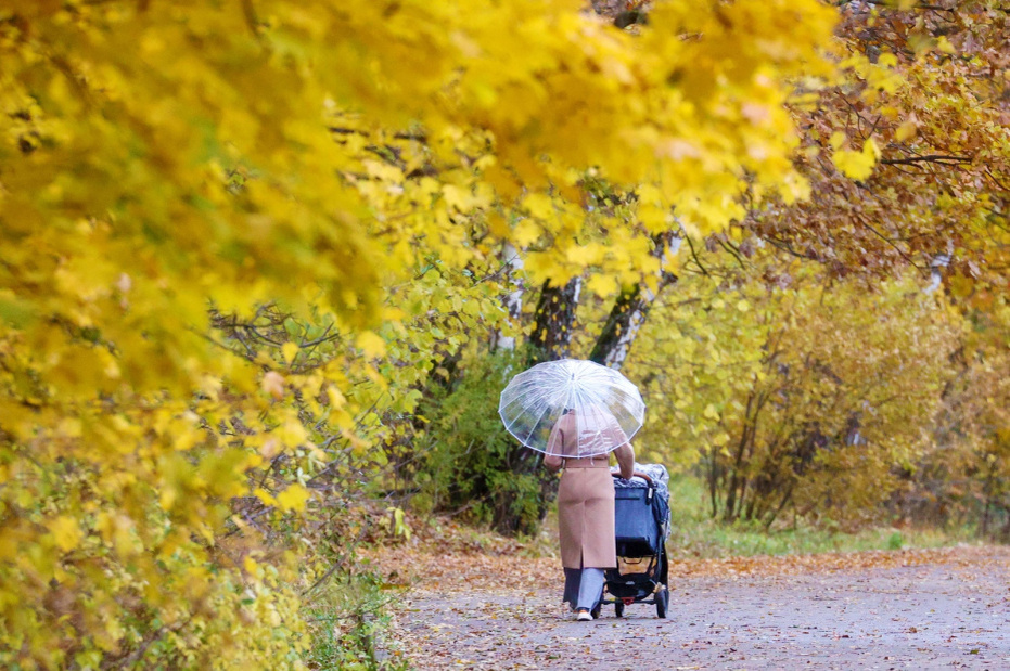    Сергей Булкин/NEWS.ru
