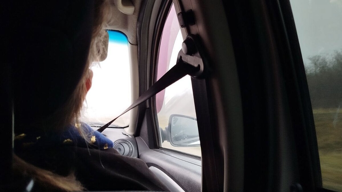    Фото: телеканал «Краснодар»