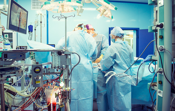 Okrasiuk/Shutterstock/FOTODOM