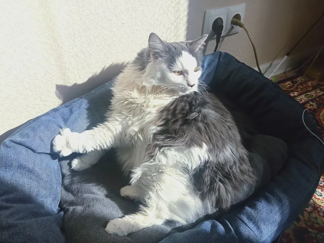 Иногда, мне еще стыдно.