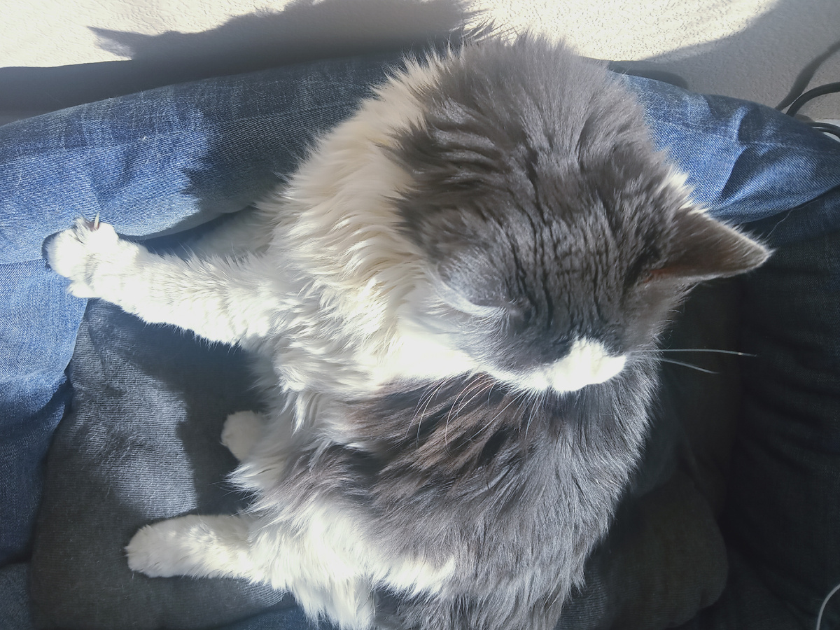 Не фоткай менмяяяяяууууу.