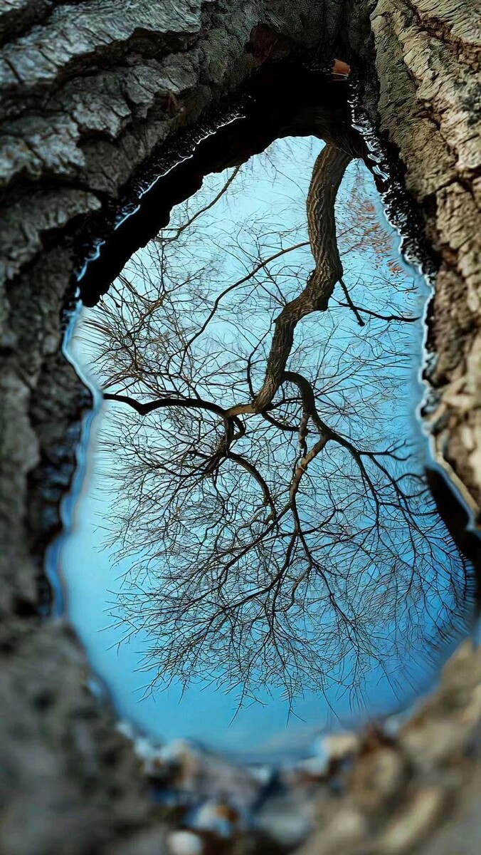 фото с сайта: https://ru.pinterest.com/pin/77757531063037634/