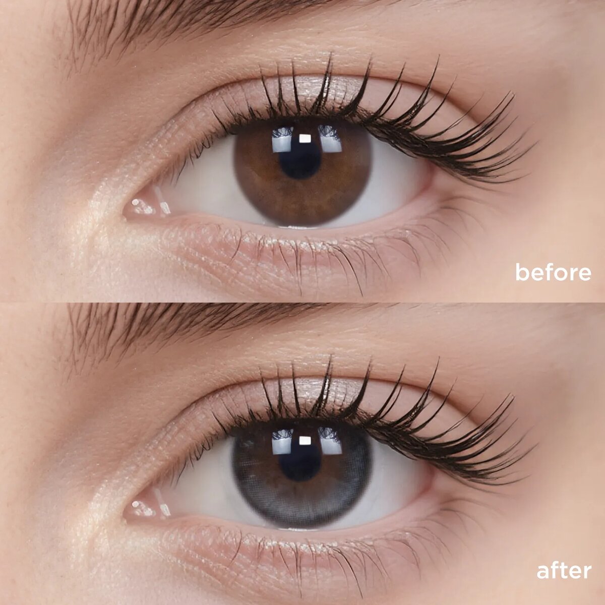 Однодневные линзы Indigo Flannel