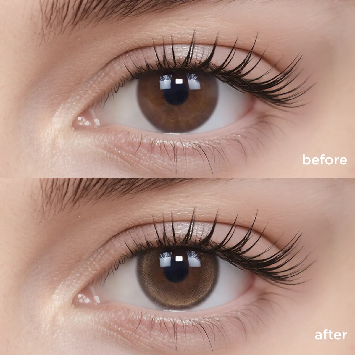 Однодневные линзы Star Walk