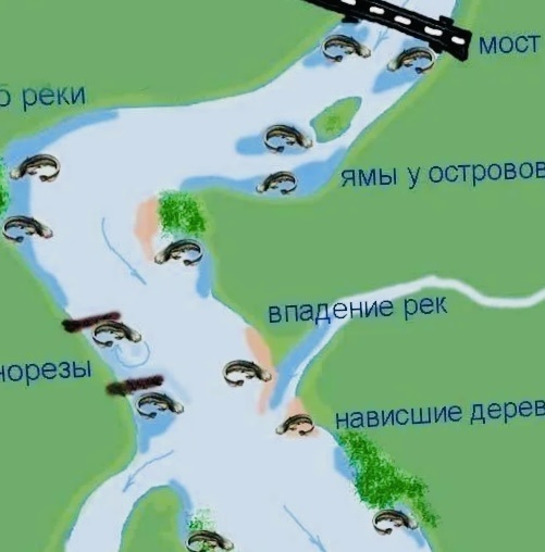 Тематическая схема 