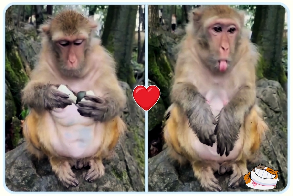 Мой коллаж из ролика. Правда, там про вонючее "столетнее яйцо", популярное блюдо в Китае. Но ощущения похожие.