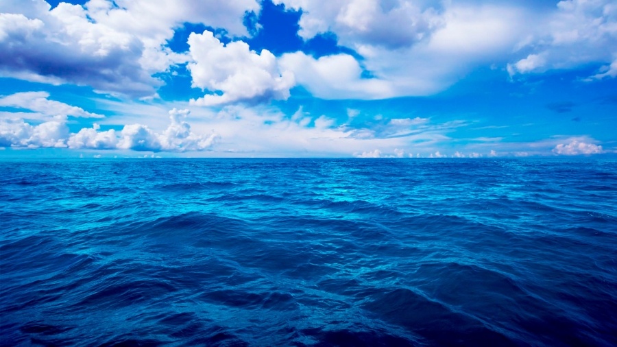 Картинка найдена на просторах интернета, ссылка https://yandex.ru/images/search?from=tabbar&img_url=https%3A%2F%2Fi.pinimg.com%2Foriginals%2Fa8%2F34%2F3f%2Fa8343f812879b5e7bd53274cf0591a19.jpg&lr=47&pos=15&rpt=simage&text=%D1%86%D0%B2%D0%B5%D1%82%D1%8B%20%D0%BA%D1%80%D1%83%DА10%BF%D0%BD%D0%BE%20%D1%84%D0%BE%D1%82%D0%BE