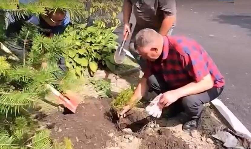    Источник фото: