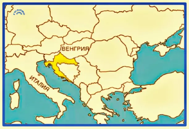 Далматин: история породы и её родина 🐕