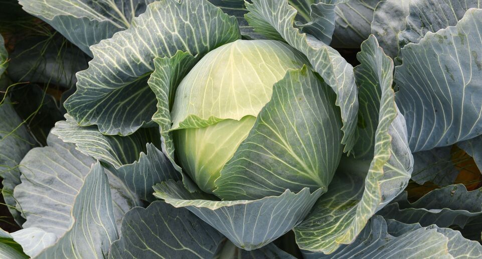    Медиасток.рф