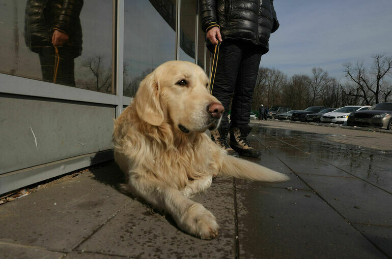   Тимур Ханов/ПГ