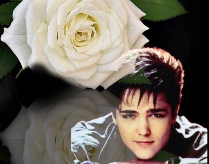 Помнят розы